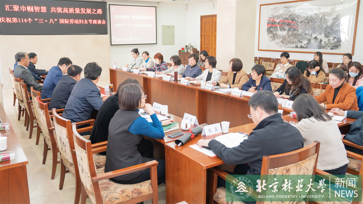 妇女节座谈会-18.jpg