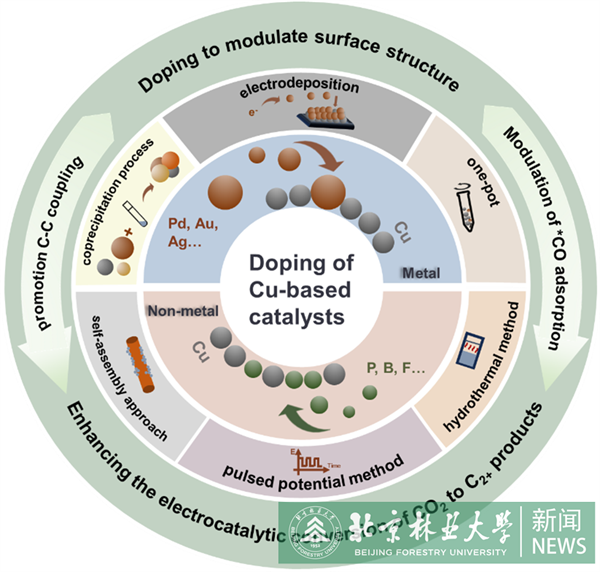 环境学院教授课题组在《Energy & Environmental Science》发表综述论文2.png