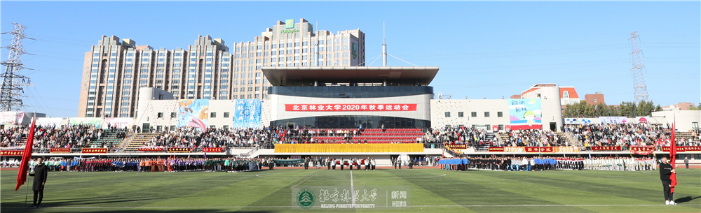 视频新闻?90期：北京林业大学2020年秋季运动会举行